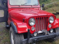 1976 Jeep CJ for sale in Michigan (ID-137983)