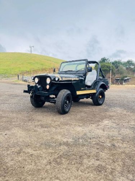 1976 Jeep CJ for sale in Michigan (ID-162137)