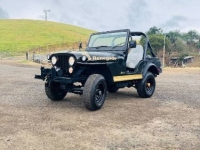 1976 Jeep CJ for sale in Michigan (ID-162137)