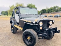 1976 Jeep CJ for sale in Michigan (ID-162137)