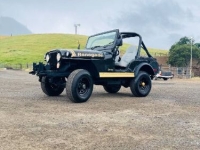 1976 Jeep CJ for sale in Michigan (ID-162137)