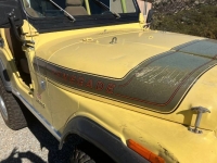 1976 Jeep CJ5 for sale in Michigan (ID-125089)