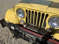 1976 Jeep CJ5 for sale in Michigan (ID-125089)