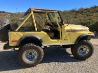 1976 Jeep CJ5 for sale in Michigan (ID-125089)