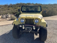 1976 Jeep CJ5 for sale in Michigan (ID-125089)