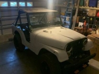 1976 Jeep CJ5 for sale in Michigan (ID-142798)