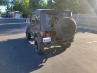 1976 Jeep CJ7 for sale in Michigan (ID-130299)