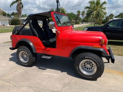 1976 Jeep DJ5 for sale