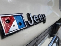 1976 Jeep Grand Wagoneer for sale in Michigan (ID-140745)
