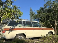 1976 Jeep Grand Wagoneer for sale in Michigan (ID-140745)