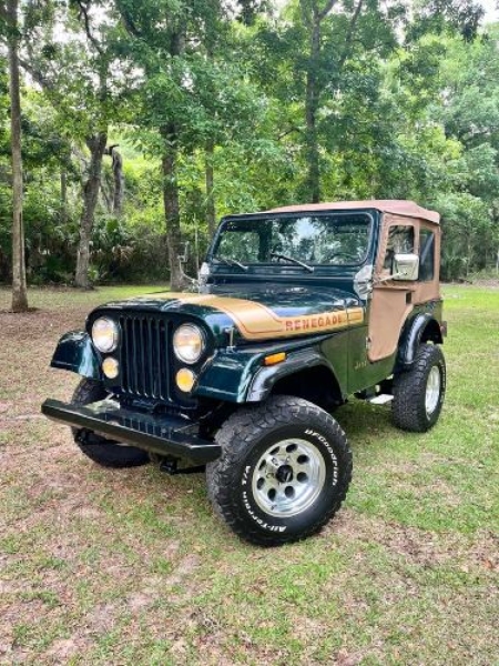 1976 Jeep Renagade for sale in Michigan (ID-163494)