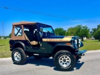 1976 Jeep Renagade for sale in Michigan (ID-163494)