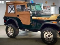 1976 Jeep Renagade for sale in Michigan (ID-163494)