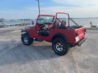 1976 Jeep Wrangler for sale in Michigan (ID-108703)