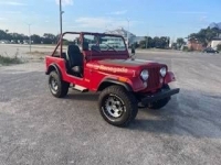 1976 Jeep Wrangler for sale in Michigan (ID-108703)