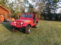 1976 Jeep Wrangler for sale in Michigan (ID-108703)