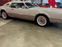 1976 Lincoln Continental for sale in Michigan (ID-163647)