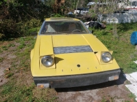 1976 Lotus Elite for sale in Michigan (ID-113512)