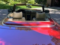 1976 Mercedes-Benz SL for sale in Michigan (ID-133385)