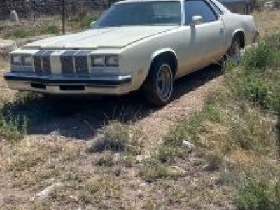 1976 Oldsmobile Cutlass for sale