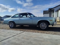 1976 Oldsmobile Omega for sale in Michigan (ID-117824)