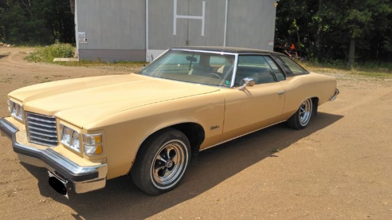 1976 Pontiac Catalina for sale in Michigan (ID-117934) 1976 Pontiac Catalina for sale in Michigan (ID-117934)