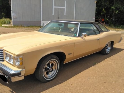 1976 Pontiac Catalina for sale