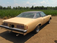 1976 Pontiac Catalina for sale in Michigan (ID-117934)