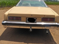 1976 Pontiac Catalina for sale in Michigan (ID-117934)