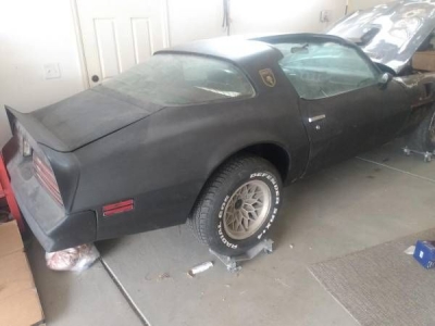 1976 Pontiac Firebird for sale