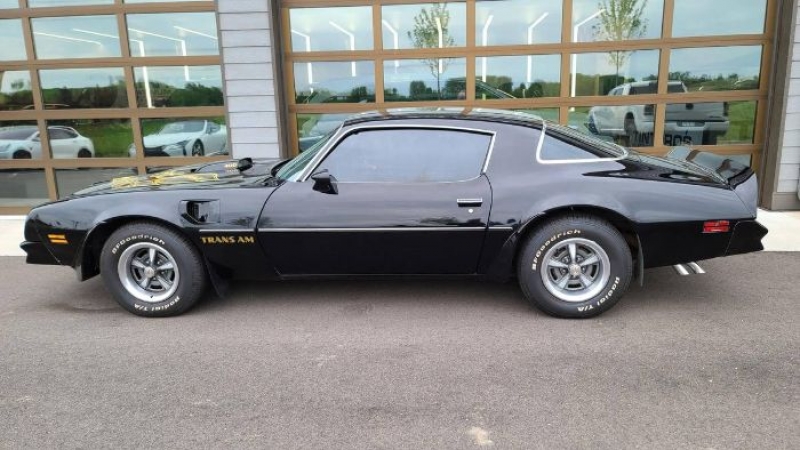 1976 Pontiac Firebird for sale in Michigan (ID-102867)