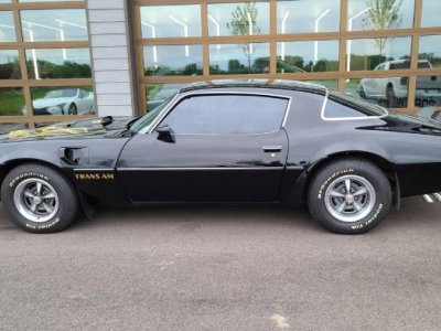 1976 Pontiac Firebird for sale