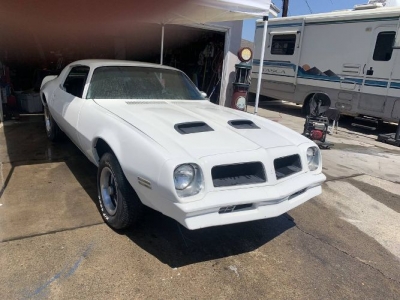 1976 Pontiac Firebird for sale