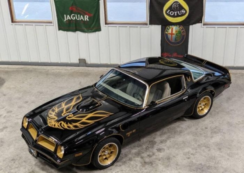 1976 Pontiac Firebird for sale in Michigan (ID-108482)