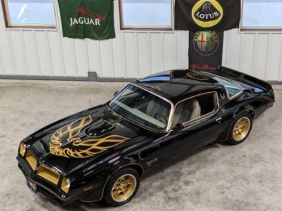 1976 Pontiac Firebird for sale