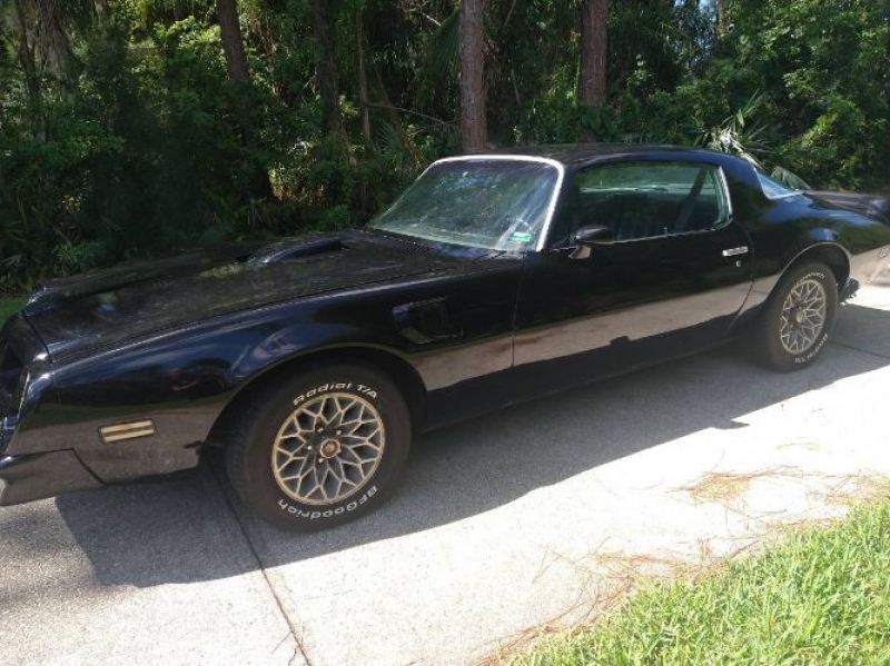1976 Pontiac Firebird for sale in Michigan (ID-117146)