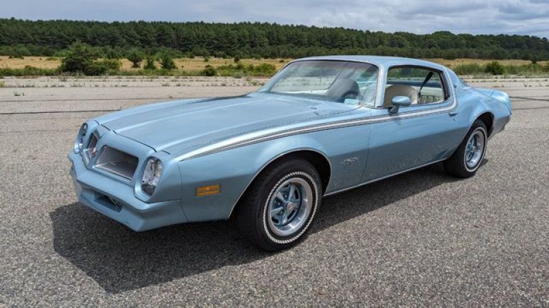 1976 Pontiac Firebird for sale in Riverhead, New York (ID-118019)
