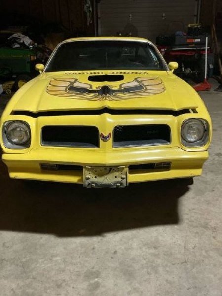 1976 Pontiac Firebird for sale in Michigan (ID-120576) 1976 Pontiac Firebird for sale in Michigan (ID-120576)