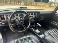 1976 Pontiac Firebird for sale in Michigan (ID-126143)