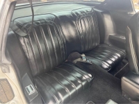 1976 Pontiac Firebird for sale in Michigan (ID-126143)