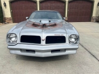 1976 Pontiac Firebird for sale in Michigan (ID-126143)