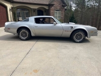 1976 Pontiac Firebird for sale in Michigan (ID-126143)