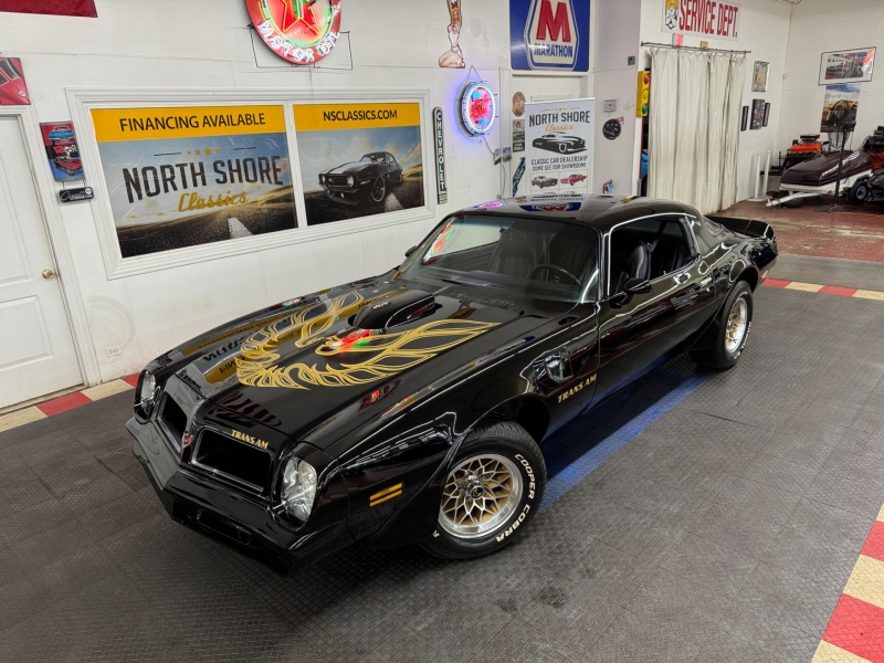 1976 Pontiac Firebird for sale in Mundelein, Illinois (ID-131039)