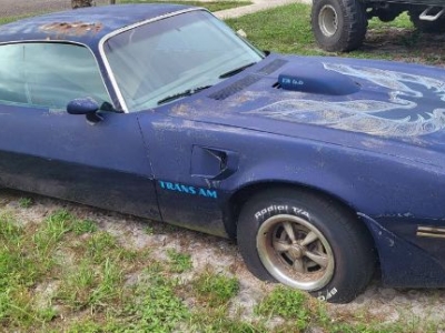 1976 Pontiac Firebird for sale
