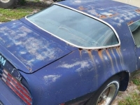 1976 Pontiac Firebird for sale in Michigan (ID-132529)