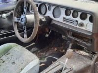 1976 Pontiac Firebird for sale in Michigan (ID-132529)