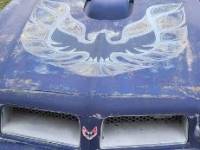 1976 Pontiac Firebird for sale in Michigan (ID-132529)