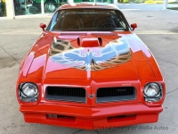 1976 Pontiac Firebird for sale in Riverhead, New York (ID-155766)