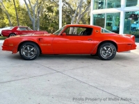 1976 Pontiac Firebird for sale in Riverhead, New York (ID-155766)