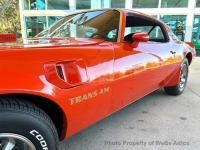 1976 Pontiac Firebird for sale in Riverhead, New York (ID-155766)